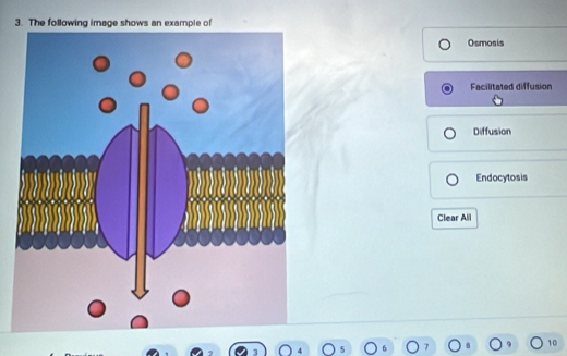 The following image shows an example of
Osmosis
Facilitated diffusion
Diffusion
Endocytosis
Clear All
10
4