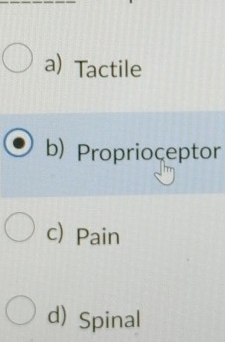 a) Tactile
b) Proprioceptor
c) Pain
d) Spinal