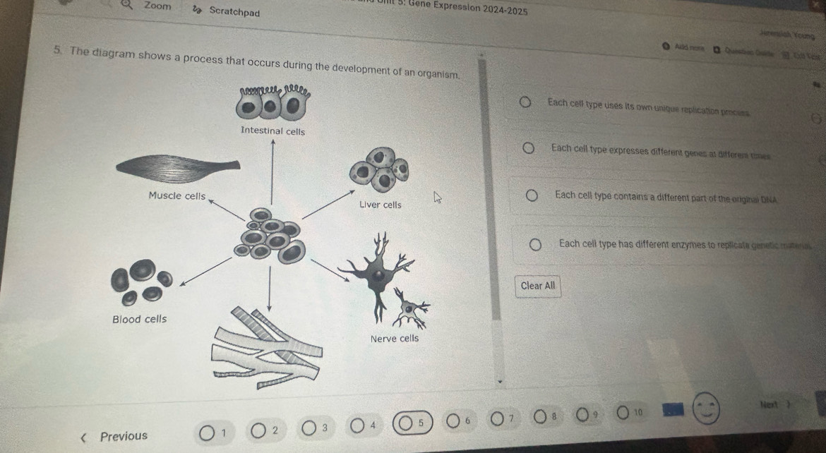 Zoom Scratchpad
IIl 5. Gene Expression 2024-2025 Jurensiah Young
Add nome * ''Questron Quide '' Codd Vels
5. The diagram shows a process that occurs during the development o,
Each cell type uses its own unique replication process
Each cell type expresses different genes at different times
Each cell type contains a different part of the original DNA
Each cell type has different enzymes to replicate genetic materal
Clear All
Next 》
10 < Previous  1 2 3 4