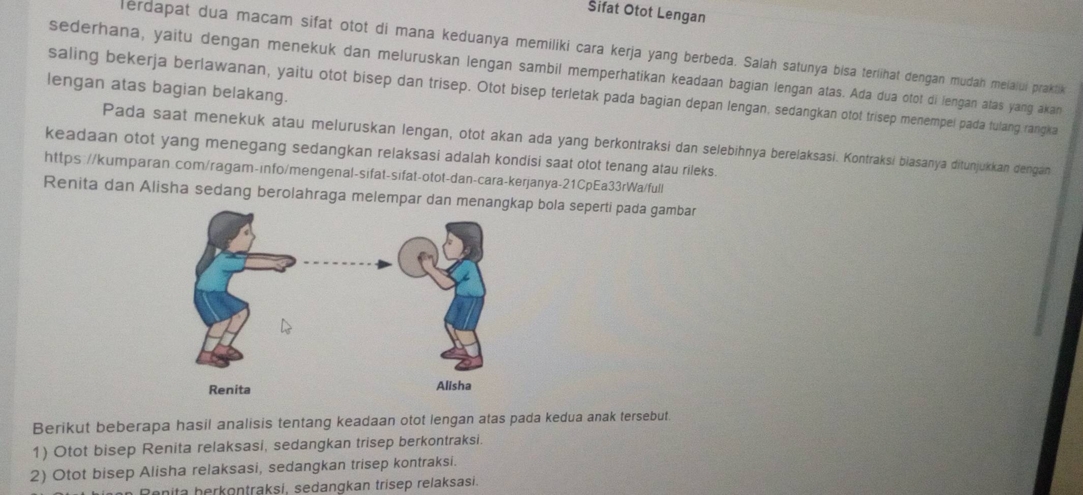 Sifat Otot Lengan
lerdapat dua macam sifat otot di mana keduanya memiliki cara kerja yang berbeda. Salah satunya bisa terlihat dengan mudah meiaiui praktik
sederhana, yaitu dengan menekuk dan meluruskan lengan sambil memperhatikan keadaan bagian lengan atas. Ada dua otot di lengan atas yang akan
lengan atas bagian belakang.
saling bekerja berlawanan, yaitu otot bisep dan trisep. Otot bisep terletak pada bagian depan lengan, sedangkan otot trisep menempel pada tulang rangka
Pada saat menekuk atau meluruskan lengan, otot akan ada yang berkontraksi dan selebihnya berelaksasi. Kontraksi biasanya ditunjukkan dengan
keadaan otot yang menegang sedangkan relaksasi adalah kondisi saat otot tenang atau rileks.
https://kumparan.com/ragam-info/mengenal-sifat-sifat-otot-dan-cara-kerjanya-21CpEa33rWa/full
Renita dan Alisha sedang berolahraga melempar dan menangkap bola seperti pada gambar
Berikut beberapa hasil analisis tentang keadaan otot lengan atas pada kedua anak tersebut.
1) Otot bisep Renita relaksasi, sedangkan trisep berkontraksi.
2) Otot bisep Alisha relaksasi, sedangkan trisep kontraksi.
Ronita herkontraksi, sedangkan trisep relaksasi.