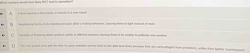 Which scenano would most likely NOT lead to speciation?
A A flood washes a few lizards or insects to a new island
B Neighboring herds of elk misinterpret each other's mating behaviors, causing them to fight instead of mato.
C Varieties of Bowering plants produce pollen in different seasons causing them to be unable to pollinate one another
The rock pocket mice with the dark fur gene mutation survive best on the dark lava flows because they are camouflaged from predators, unlike their fighter counterparts
