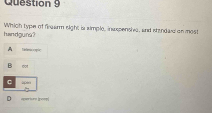 Which Type of Firearm Sight is Standard on Most Handguns: Explained