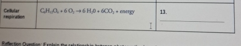 Reflection Question: Explain the relation