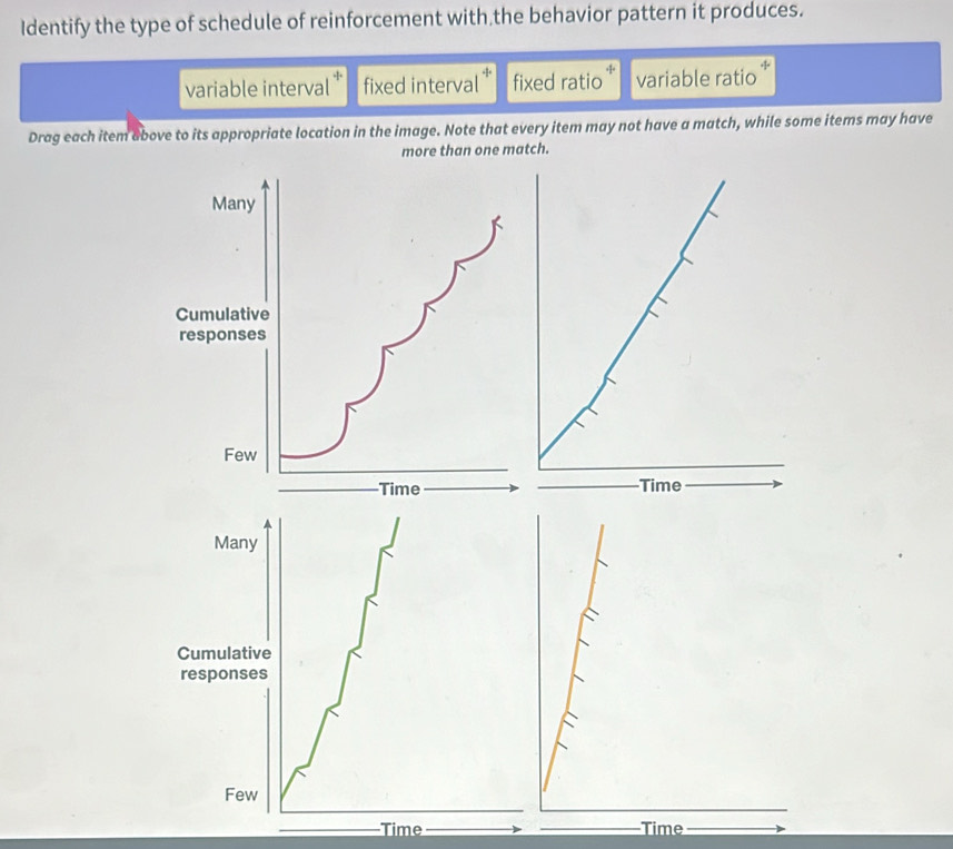 Solved: Identify the type of schedule of reinforcement with the ...