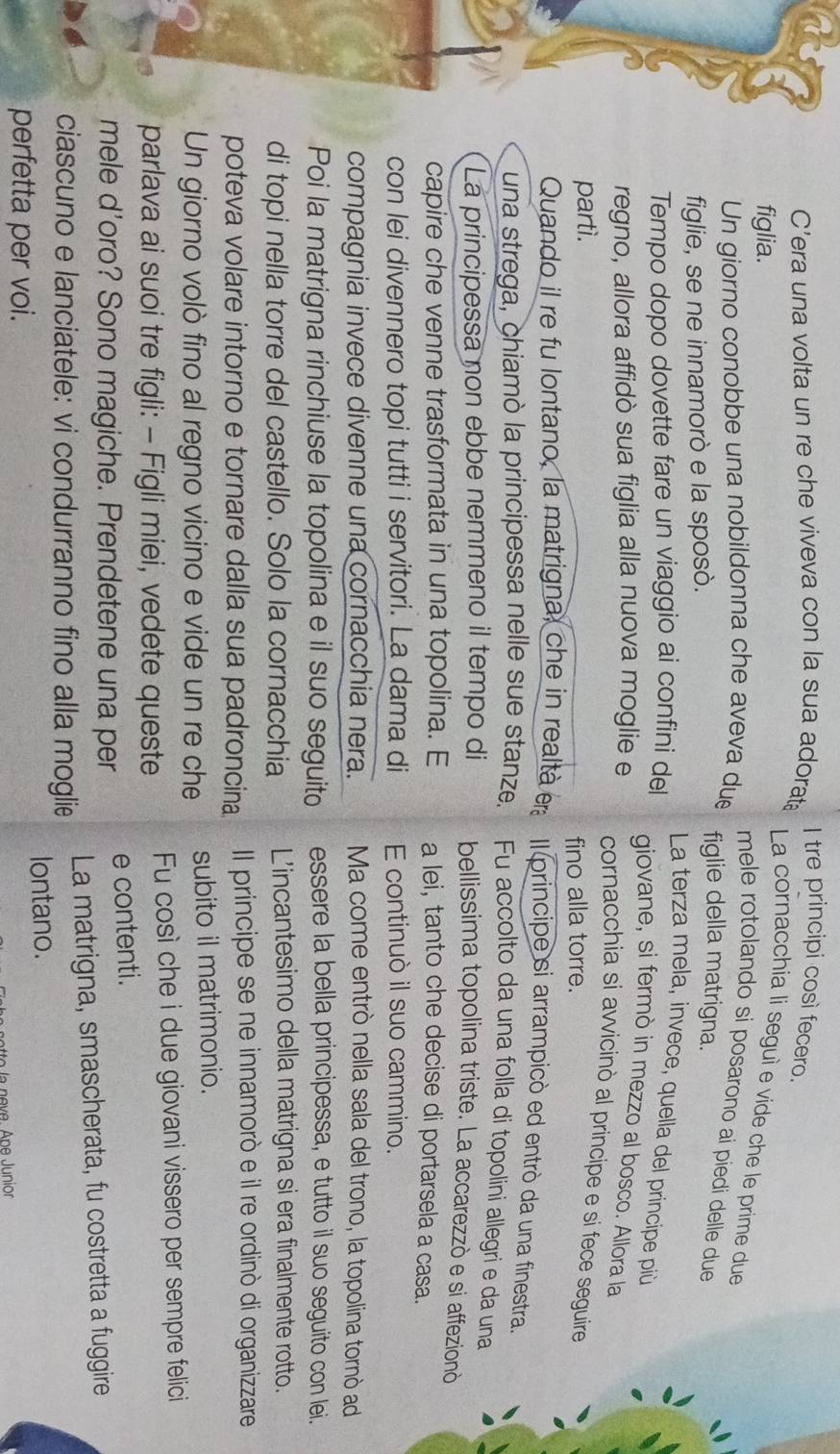 C'era una volta un re che viveva con la sua adorat
I tre principi così fecero.
figlia.
La cornacchia li seguì e vide che le prime due
mele rotolando si posarono ai piedi delle due
Un giorno conobbe una nobildonna che aveva du figlie della matrigna.
figlie, se ne innamorò e la sposò.
La terza mela, invece, quella del principe più
Tempo dopo dovette fare un viaggio ai confini del
giovane, si fermò in mezzo al bosco. Allora la
regno, allora affidò sua figlia alla nuova moglie e
cornacchia si avvicinò al principe e si fece seguire
parti.
fino alla torre.
Quando il re fu lontano, la matrigna, che in realtà era Il principe si arrampicò ed entrò da una finestra.
una strega, chiamò la principessa nelle sue stanze. Fu accolto da una folla di topolini allegri e da una
La principessa non ebbe nemmeno il tempo di bellissima topolina triste. La accarezzò e si affezionò
capire che venne trasformata in una topolina. E a lei, tanto che decise di portarsela a casa.
con lei divennero topi tutti i servitori. La dama di E continuò il suo cammino.
compagnia invece divenne una cornacchia nera. Ma come entrò nella sala del trono, la topolina tornò ad
Poi la matrigna rinchiuse la topolina e il suo seguito essere la bella principessa, e tutto il suo seguito con lei.
di topi nella torre del castello. Solo la cornacchia L'incantesimo della matrigna si era finalmente rotto.
poteva volare intorno e tornare dalla sua padroncina Il principe se ne innamorò e il re ordinò di organizzare
Un giorno volò fino al regno vicino e vide un re che subito il matrimonio.
parlava ai suoi tre figli: - Figli miei, vedete queste Fu così che i due giovani vissero per sempre felici
mele d'oro? Sono magiche. Prendetene una per
e contenti.
ciascuno e lanciatele: vi condurranno fino alla moglie La matrigna, smascherata, fu costretta a fuggire
perfetta per voi. lontano.
la neve. Ape Junior