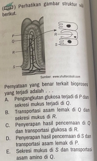 (19) Perhatikan gambar struktur vi
berikut.
Sum
Pemyataan yang benar terkait bioproses
yang terjadi adalah . . .
A. Pengangkutan glukosa terjadi di P da
sekresi mukus terjadi di Q.
B. Transportasi asam lemak di Q dan
sekresi mukus di R.
C. Penyerapan hasil pencernaan di Q
dan transportasi glukosa di R.
D. Penyerapan hasil pencernaan di S dan
transportasi asam lemak di P.
E. Sekresi mukus di S dan transportasi
asam amino di Q.