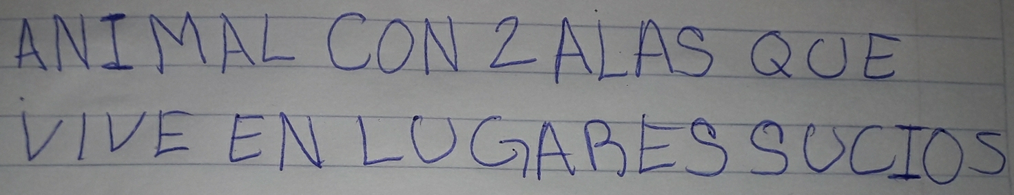 ANIMAL CONZALAS QUE 
VIVE ENLOGABESSOCIOS