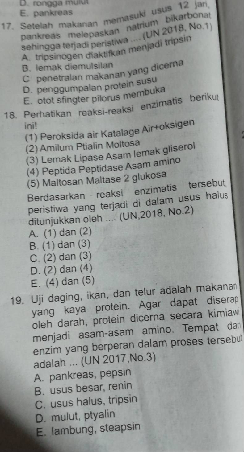 D. rongga mulut
E. pankreas
17. Setelah makanan memasuki usus 12 jari,
pankreás melepaskan natrium bikarbonat
sehingga terjadi peristiwa .... (UN 2018, No.1)
A. tripsinogen diaktifkan menjadi tripsin
B. lemak diemulsilan
C penetralan makanan yang dicerna
D. penggumpalan protein susu
E. otot sfingter pilorus membuka
18. Perhatikan reaksi-reaksi enzimatis berikut
ini!
(1) Peroksida air Katalage Air+oksigen
(2) Amilum Ptialin Moltosa
(3) Lemak Lípase Asam lemak gliserol
(4) Peptida Peptidase Asam amino
(5) Maltosan Maltase 2 glukosa
Berdasarkan reaksi enzimatis tersebut,
peristiwa yang terjadi di dalam usus halus
ditunjukkan oleh .... (UN,2018, No.2)
A. (1) dan (2)
B. (1) dan (3)
C. (2) dan (3)
D. (2) dan (4)
E. (4) dan (5)
19. Uji daging, ikan, dan telur adalah makana
yang kaya protein. Agar dapat diserap
oleh darah, protein dicerna secara kimiaw
menjadi asam-asam amino. Tempat da
enzim yang berperan dalam proses tersebut
adalah ... (UN 2017,No.3)
A. pankreas, pepsin
B. usus besar, renin
C. usus halus, tripsin
D. mulut, ptyalin
E. lambung, steapsin