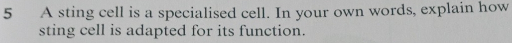 A sting cell is a specialised cell. In your own words, explain how 
sting cell is adapted for its function.