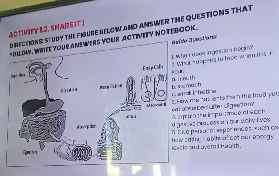 TUDY THE FIGURE BELOW AND ANSWER THE QUESTIONS THAT 
ACTIVITY 1.2. SHARE IT ! 
Guide Questions: 
UR ACTIVITY NOTEBOOK. 
hat happens to food when it is in 
en does ingestion begin? 
: 
outh 
omach 
all intestine 
w are nutrients from the food you 
absorbed after digestion? 
plain the importance of each 
stive process on our daily lives. 
ve personal experiences, such as 
eating habits affect our energy 
ls and overall health.