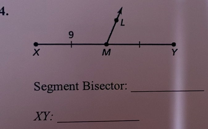 Segment Bisector:_
XY :_