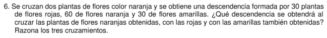 Se cruzan dos plantas de flores color naranja y se obtiene una descendencia formada por 30 plantas 
de flores rojas, 60 de flores naranja y 30 de flores amarillas. ¿Qué descendencia se obtendrá al 
cruzar las plantas de flores naranjas obtenidas, con las rojas y con las amarillas también obtenidas? 
Razona los tres cruzamientos.