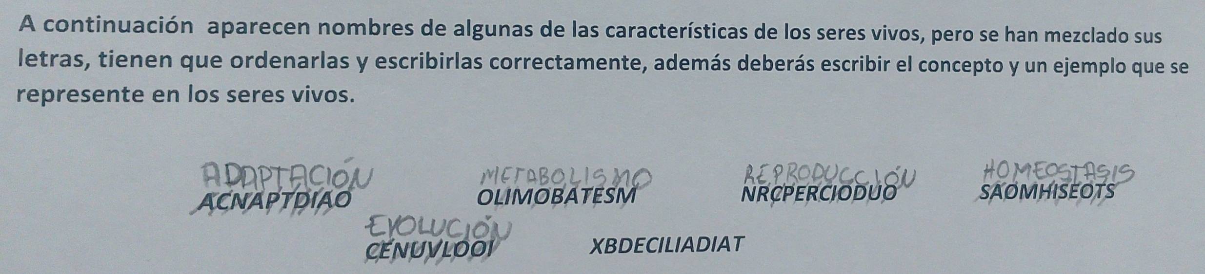 A continuación aparecen nombres de algunas de las características de los seres vivos, pero se han mezclado sus 
letras, tienen que ordenarlas y escribirlas correctamente, además deberás escribir el concepto y un ejemplo que se 
represente en los seres vivos. 
ADAPTACION MEABOLISI RODUC 

ACNAPTDIAO OLIMOBATESM NRCPERCIODUO SAOMHISEOTS 
EVOLUCI 
CENUVLOOI XBDECILIADIAT