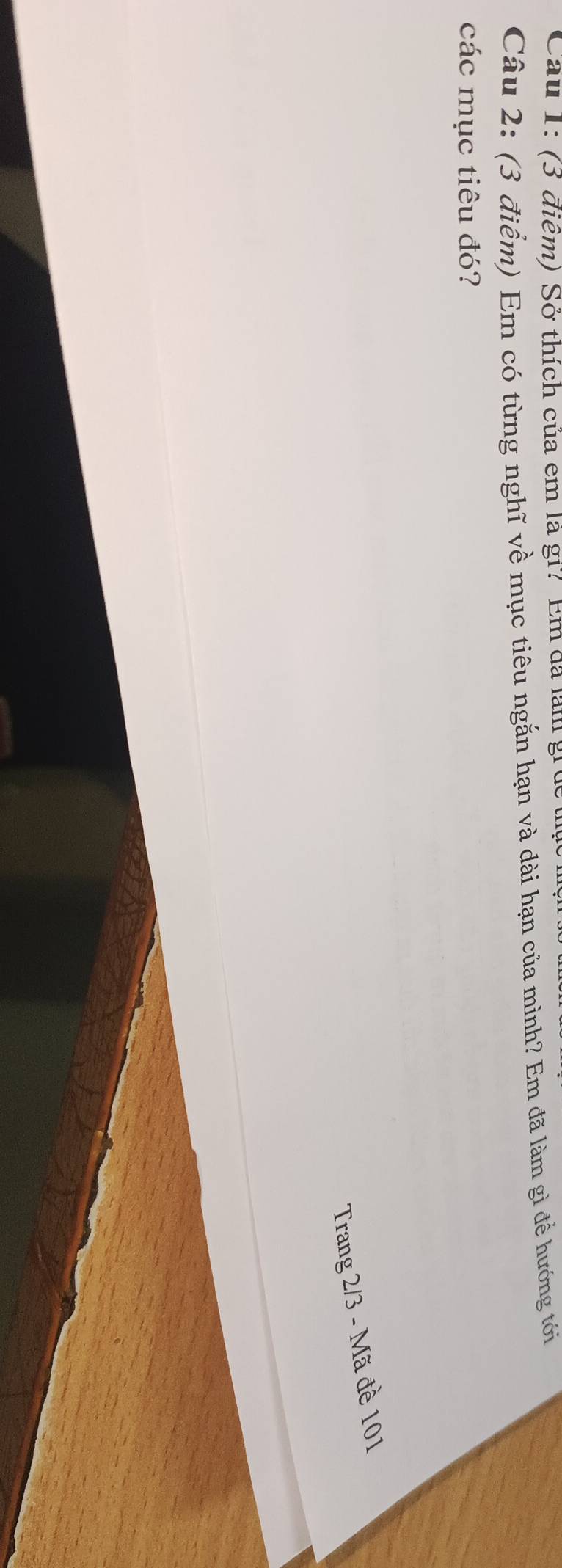Cầu 1: (3 điểm) Sở thích của em là gi? Em đã làmgi 
Câu 2: (3 điểm) Em có từng nghĩ về mục tiêu ngắn hạn và dài hạn của mình? Em đã làm gì để hướng tới 
các mục tiêu đó? 
Trang 2/3 - Mã đề 101