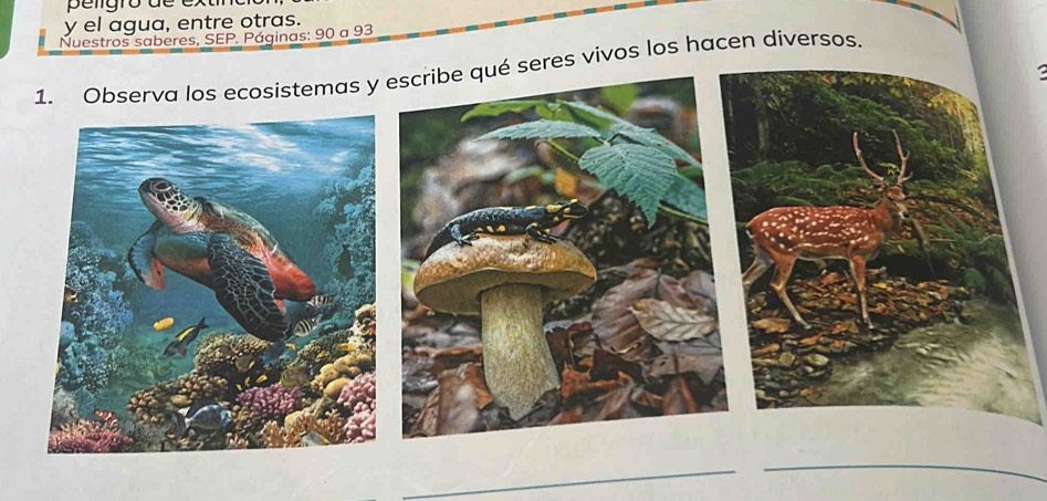 el agua, entre otras. 
Nuestros saberes, SEP. Páginas: 90 a 93
1. Observa los ecosistemas y escribe qué seres vivos los hacen diversos. 
. 
_ 
_