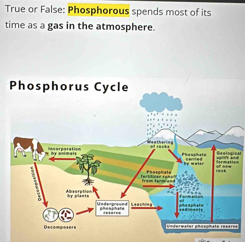 True or False: Phosphorous spends most of its 
time as a gas in the atmosphere. 
cal 
d 
n 
e