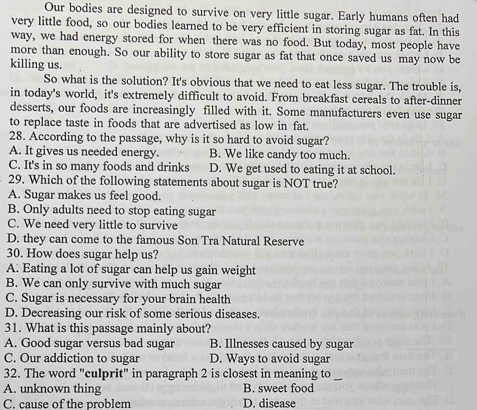 Our bodies are designed to survive on very little sugar. Early humans often had
very little food, so our bodies learned to be very efficient in storing sugar as fat. In this
way, we had energy stored for when there was no food. But today, most people have
more than enough. So our ability to store sugar as fat that once saved us may now be
killing us.
So what is the solution? It's obvious that we need to eat less sugar. The trouble is,
in today's world, it's extremely difficult to avoid. From breakfast cereals to after-dinner
desserts, our foods are increasingly filled with it. Some manufacturers even use sugar
to replace taste in foods that are advertised as low in fat.
28. According to the passage, why is it so hard to avoid sugar?
A. It gives us needed energy. B. We like candy too much.
C. It's in so many foods and drinks D. We get used to eating it at school.
29. Which of the following statements about sugar is NOT true?
A. Sugar makes us feel good.
B. Only adults need to stop eating sugar
C. We need very little to survive
D. they can come to the famous Son Tra Natural Reserve
30. How does sugar help us?
A. Eating a lot of sugar can help us gain weight
B. We can only survive with much sugar
C. Sugar is necessary for your brain health
D. Decreasing our risk of some serious diseases.
31. What is this passage mainly about?
A. Good sugar versus bad sugar B. Illnesses caused by sugar
C. Our addiction to sugar D. Ways to avoid sugar
32. The word "culprit" in paragraph 2 is closest in meaning to_
A. unknown thing B. sweet food
C. cause of the problem D. disease