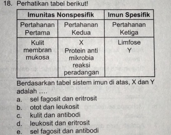 Perhatikan tabel berikut!
Berdasarkan tabel sistem imun di atas, X dan Y
adalah ....
a. sel fagosit dan eritrosit
b. otot dan leukosit
c. kulit dan antibodi
d. leukosit dan eritrosit
e. sel fagosit dan antibodi