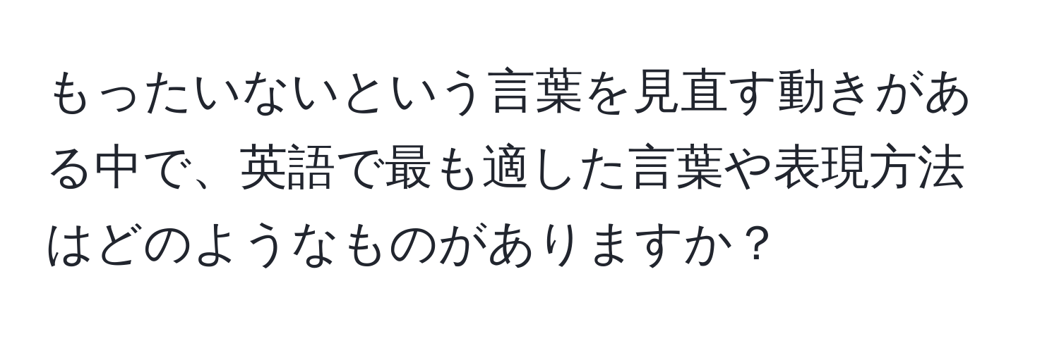 もったいないという言葉を見直す動きがある中で、英語で最も適した言葉や表現方法はどのようなものがありますか？