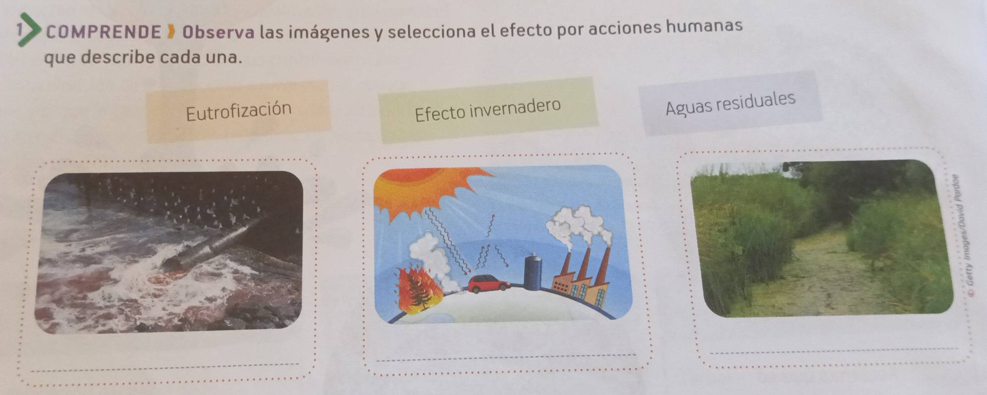 COMPRENDE 》 Observa las imágenes y selecciona el efecto por acciones humanas
que describe cada una.
Eutrofización
Efecto invernadero
Aguas residuales
_
_
_