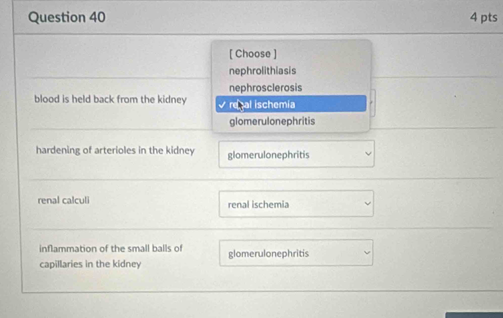 [ Choose ]
nephrolithiasis
nephrosclerosis
blood is held back from the kidney I real ischemía
glomerulonephritis
hardening of arterioles in the kidney glomerulonephritis
renal calculi
renal ischemia
inflammation of the small balls of glomerulonephritis
capillaries in the kidney