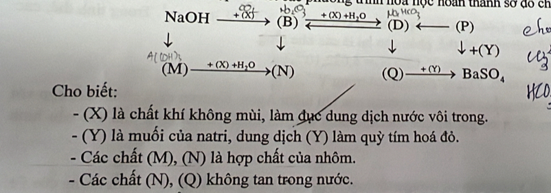 no a nộ c noan thanh số đo en
NaOH + (X) _ +(X)+H_2O (P)
(B)
(D)
downarrow +(Y)
(M) xrightarrow +(X)+H_2O(N) (Q) _ +(Y) BaSO_4 
Cho biết:
- (X) là chất khí không mùi, làm đục dung dịch nước vôi trong.
- (Y) là muối của natri, dung dịch (Y) làm quỳ tím hoá đỏ.
- Các chất (M), (N) là hợp chất của nhôm.
- Các chất (N), (Q) không tan trong nước.