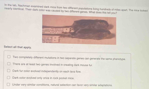 Solved: In the lab, Nachman examined dark mice from two different ...