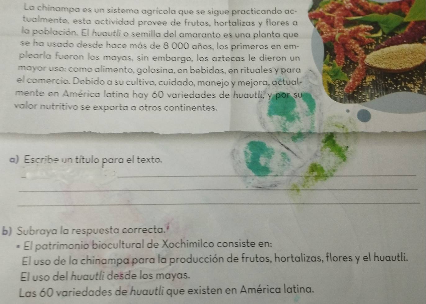 La chinampa es un sistema agrícola que se sigue practicando ac-
tualmente, esta actividad provee de frutos, hortalizas y flores a
la población. El huautli o semilla del amaranto es una planta que
se ha usado desde hace más de 8 000 años, los primeros en em-
plearla fueron los mayas, sin embargo, los aztecas le dieron un
mayor uso: como alimento, golosina, en bebidas, en rituales y para
el comercio. Debido a su cultivo, cuidado, manejo y mejora, actual-
mente en América latina hay 60 variedades de huautli, y por su
valor nutritivo se exporta a otros continentes.
a) Escribe un título para el texto.
_
_
_
b) Subraya la respuesta correcta.
* El patrimonio biocultural de Xochimilco consiste en:
El uso de la chinampa para la producción de frutos, hortalizas, flores y el huautli.
El uso del huautli desde los mayas.
Las 60 variedades de huautli que existen en América latina.