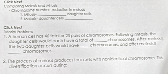 Click Next 
Comparing Meiosis and Mitosis 
- Chromosome number- reduction in meiosis 
1. Mitosis- _daughter cells 
2. Meiosis- daughter cells_ 
Click Next 
Tutorial Problems 
1. A human cell has 46 total or 23 pairs of chromosomes. Following mitosis, the 
daughter cells would each have a total of_ chromosomes. After meioss I 
the two daughter cells would have _chromosomes, and after meïosis III 
_ 
chromosomes. 
2. The process of meiosis produces four cells with nonidentical chromosomes. This 
diversification occurs during: