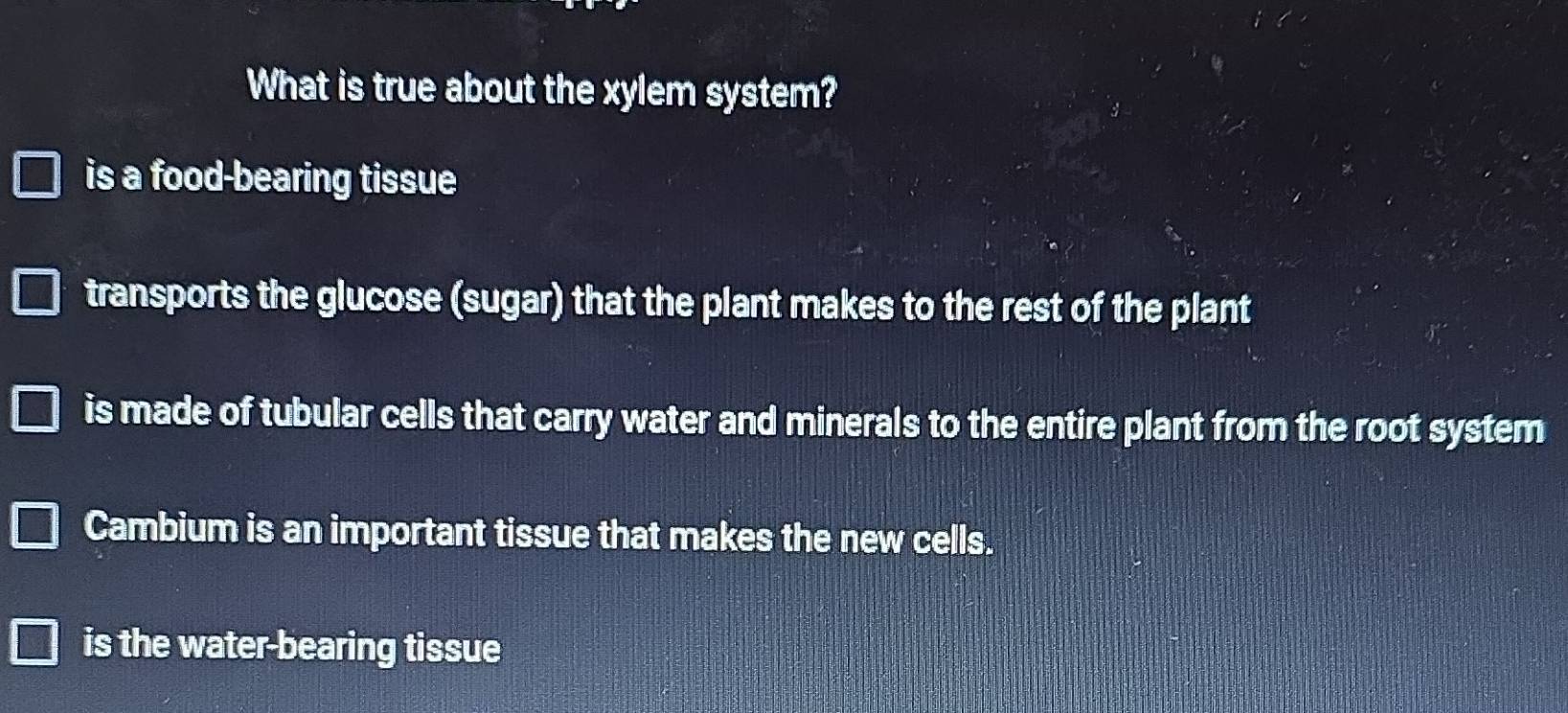 What is true about the xylem system?
is a food-bearing tissue
transports the glucose (sugar) that the plant makes to the rest of the plant
is made of tubular cells that carry water and minerals to the entire plant from the root system
Cambium is an important tissue that makes the new cells.
is the water-bearing tissue