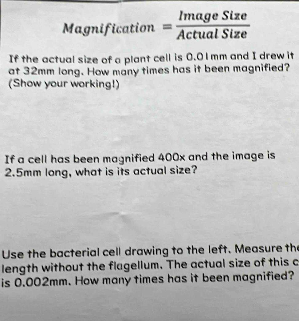 Magnification = ImageSize/ActualSize 
If the actual size of a plant cell is 0.0 l mm and I drew it 
at 32mm long. How many times has it been magnified? 
(Show your working!) 
If a cell has been magnified 400x and the image is
2.5mm long, what is its actual size? 
Use the bacterial cell drawing to the left. Measure the 
length without the flagellum. The actual size of this c 
is 0.002mm. How many times has it been magnified?