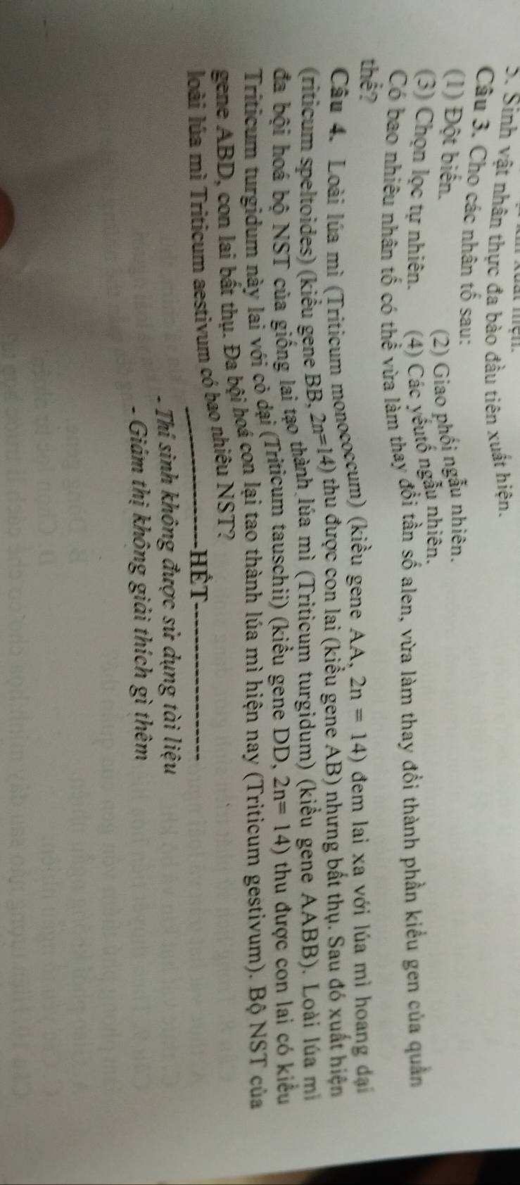 Sinh vật nhân thực đa bào đầu tiên xuất hiện. 
Câu 3. Cho các nhân tố sau: 
(1) Đột biến. 
(2) Giao phối ngẫu nhiên. 
(3) Chọn lọc tự nhiên. (4) Các yếutố ngẫu nhiên. 
Có bao nhiều nhân tổ có thể vừa làm thay đổi tần số alen, vừa làm thay đổi thành phần kiểu gen của quản 
thể? 2n=14) đem lai xa với lúa mì hoang đại 
Câu 4. Loài lúa mì (Triticum monococcum) (kiều gene AA, 
(riticum speltoides) (kiểu gene BB, 2n=14) thu được con lai (kiểu gene AB) nhưng bất thụ. Sau đó xuất hiện 
đa bội hoá bộ NST của giống lai tạo thành lúa mì (Triticum turgidum) (kiểu gene AABB). Loài lúa m 
Tríticum turgidum này lai với có dại (Triticum tauschii) (kiểu gene DD, 2n=14) thu được con lai có kiểu 
gene ABD, con lai bất thụ. Đa bội hoá con lại tao thành lủa mì hiện nay (Triticum gestivum). Bộ NST của 
loài lúa mì Triticum aestivum có bao nhiêu NST? 
ết 
Thí sinh không được sử dụng tài liệu 
- Giám thị không giải thích gì thêm
