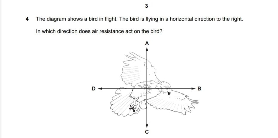 Solved: 3 4 The diagram shows a bird in flight. The bird is flying in a ...