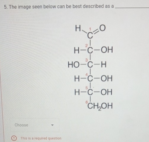 The image seen below can be best described as a_
Choose
This is a required question