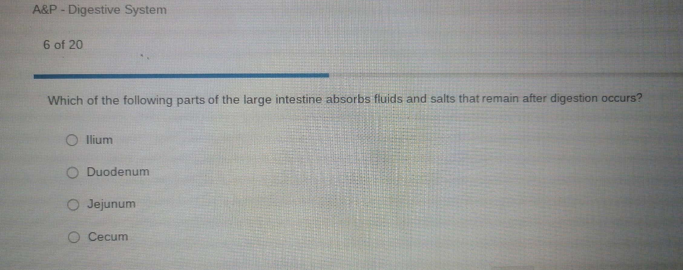 A&P - Digestive System
6 of 20
Which of the following parts of the large intestine absorbs fluids and salts that remain after digestion occurs?
Ilium
Duodenum
Jejunum
Cecum