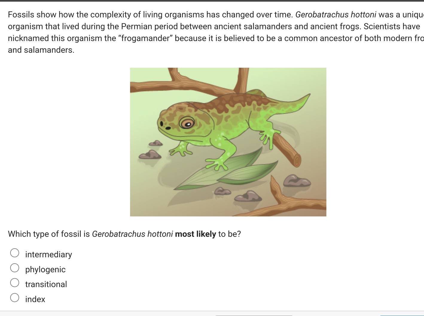 Solved: Fossils show how the complexity of living organisms has changed ...