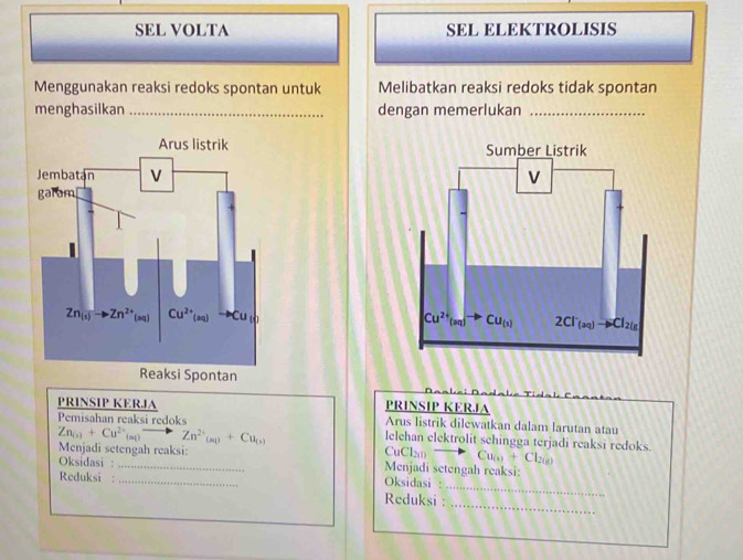 SEL VOLTA SEL ELEKTROLISIS
Menggunakan reaksi redoks spontan untuk Melibatkan reaksi redoks tidak spontan
menghasilkan _dengan memerlukan_
 
 
 
PRINSIP KERJA
PRINSIP KERJA Arus listrik dilewatkan dalam larutan atau
Pemisahan reaksi redoks lelehan elektrolit schingga terjadi reaksi redoks.
Zn_(s)+Cu^(2+)_(st)to Zn^(2+)_(n)+Cu_(n) CuClxn Cu_(s)+Cl_2 2(2)
Menjadi setengah reaksi:
Oksidasi : _Menjadi setengah reaksi:
Reduksi :_
Oksidasi :
Reduksi :
_
_