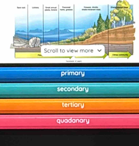 primary
secondary
tertiary
quadanary