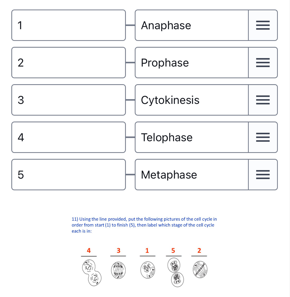 1 Anaphase
2 Prophase
3 Cytokinesis
4 Telophase
5 Metaphase
11) Using the line provided, put the following pictures of the cell cycle in
order from start (1) to finish (5), then label which stage of the cell cycle
each is in: