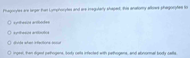 Phagocyles are larger than Lymphocytes and are irregularly shaped; this anatomy allows phagocytes to
synthesize antibodies
synthesize antibiotics
divide when infections occur
ingest, then digest pathogens, body cells infected with pathogens, and abnormal body cells.