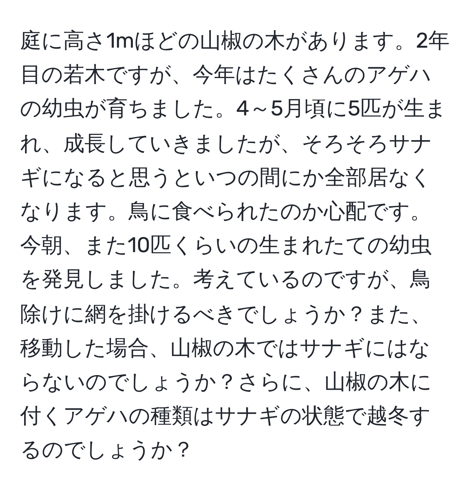 庭に高さ1mほどの山椒の木があります。2年目の若木ですが、今年はたくさんのアゲハの幼虫が育ちました。4～5月頃に5匹が生まれ、成長していきましたが、そろそろサナギになると思うといつの間にか全部居なくなります。鳥に食べられたのか心配です。今朝、また10匹くらいの生まれたての幼虫を発見しました。考えているのですが、鳥除けに網を掛けるべきでしょうか？また、移動した場合、山椒の木ではサナギにはならないのでしょうか？さらに、山椒の木に付くアゲハの種類はサナギの状態で越冬するのでしょうか？