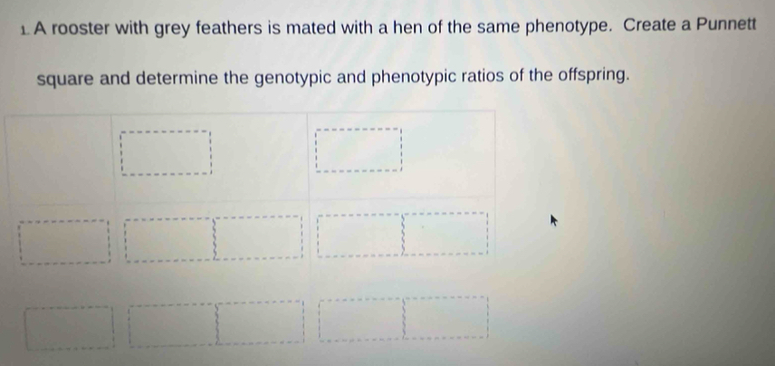 A rooster with grey feathers is mated with a hen of the same phenotype. Create a Punnett 
square and determine the genotypic and phenotypic ratios of the offspring.