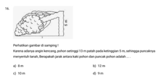 Perhatikan gambar di samping !
Karena adanya angin kencang, pohon setinggi 13 m patah pada ketinggian 5 m, sehingga puncaknya
menventuḥ tanah. Berapakah jarak antara kaki pohon dan puncak pohon adalah ...
a) 8 m b) 12 m
c) 10 m d) 9 m