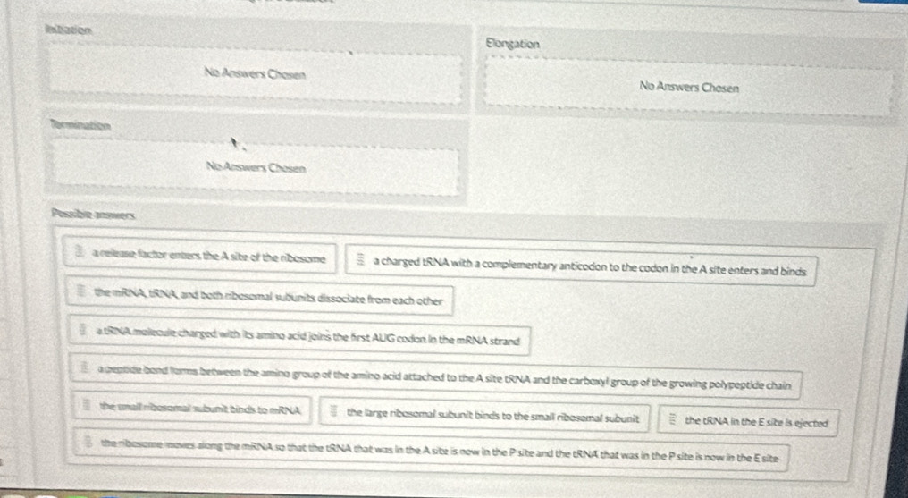 Initiation Elongation
No Answers Chasen No Answers Chosen
Termination
No Answers Chosen
Possible answers
a release factor enters the A site of the ribosome a charged tRNA with a complementary anticodon to the codon in the A site enters and binds
the mRNA, tRNA, and both ribosomal subunits dissociate from each other
a IRNA mollecule charged with its amino acid joins the first AUG codon in the mRNA strand
a peptide bond lorns between the amino group of the amino acid attached to the A site tRNA and the carboxyl group of the growing polypeptide chain
the unall ribesomal subunit binds to mRNA the large ribosomal subunit binds to the small ribosomal subunit the tRNA in the E site is ejected
the ribosome moves along the mRNA so that the tRNA that was in the A site is now in the P site and the tRNA that was in the P site is now in the E site