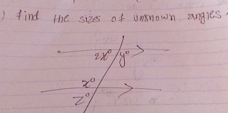 ) find the sizes of umknown angles
2x° y°
x°
z°