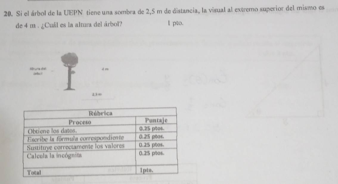 Si el árbol de la UEPN tiene una sombra de 2,5 m de distancia, la visual al extremo superior del mismo es 
de 4 m. ¿Cuál es la altura del árbol? l pto. 
Adrura «tel a er 
abot
25 m