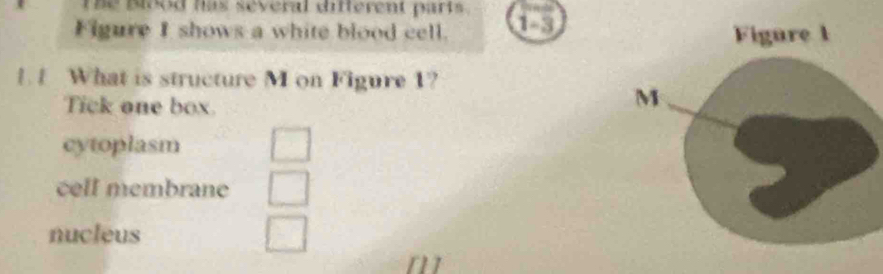 he Blood has several difterent parts.
Figure I shows a white blood cell. 1-3
1. 1 What is structure M on Figure 1?
Tick one box.
cytoplasm
cell membrane
nucleus
n1