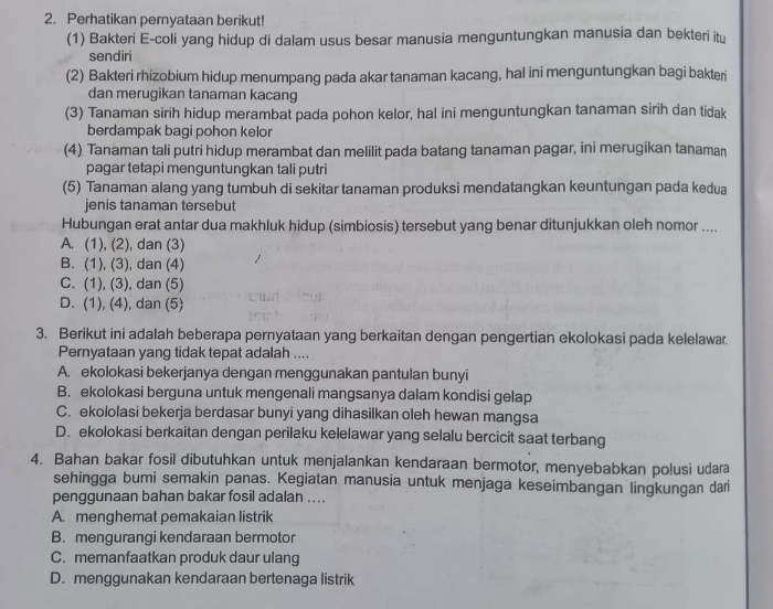 Perhatikan pernyataan berikut!
(1) Bakteri E-coli yang hidup di dalam usus besar manusia menguntungkan manusia dan bekteri itu
sendiri
(2) Bakteri rhizobium hidup menumpang pada akar tanaman kacang, hal ini menguntungkan bagi bakteri
dan merugikan tanaman kacang
(3) Tanaman sirih hidup merambat pada pohon kelor, hal ini menguntungkan tanaman sirih dan tidak
berdampak bagi pohon kelor
(4) Tanaman tali putri hidup merambat dan melilit pada batang tanaman pagar, ini merugikan tanaman
pagar tetapi menguntungkan tali putri
(5) Tanaman alang yang tumbuh di sekitar tanaman produksi mendatangkan keuntungan pada kedua
jenis tanaman tersebut
Hubungan erat antar dua makhluk hidup (simbiosis) tersebut yang benar ditunjukkan oleh nomor ....
A. (1), (2), dan (3)
B. (1), (3), dan (4)
C. (1), (3), dan (5)
D. (1), (4), dan (5)
3. Berikut ini adalah beberapa pernyataan yang berkaitan dengan pengertian ekolokasi pada kelelawar.
Pernyataan yang tidak tepat adalah ....
A. ekolokasi bekerjanya dengan menggunakan pantulan bunyi
B. ekolokasi berguna untuk mengenali mangsanya dalam kondisi gelap
C. ekololasi bekerja berdasar bunyi yang dihasilkan oleh hewan mangsa
D. ekolokasi berkaitan dengan perilaku kelelawar yang selalu bercicit saat terbang
4. Bahan bakar fosil dibutuhkan untuk menjalankan kendaraan bermotor, menyebabkan polusi udara
sehingga bumi semakin panas. Kegiatan manusia untuk menjaga keseimbangan lingkungan dari
penggunaan bahan bakar fosil adalan ....
A. menghemat pemakaian listrik
B. mengurangi kendaraan bermotor
C. memanfaatkan produk daur ulang
D. menggunakan kendaraan bertenaga listrik