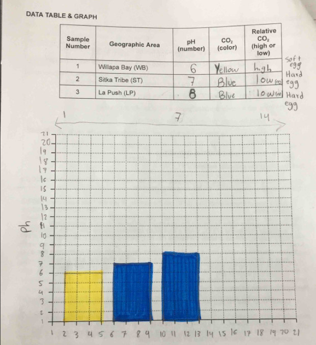 DATA TABLE & GRAPH