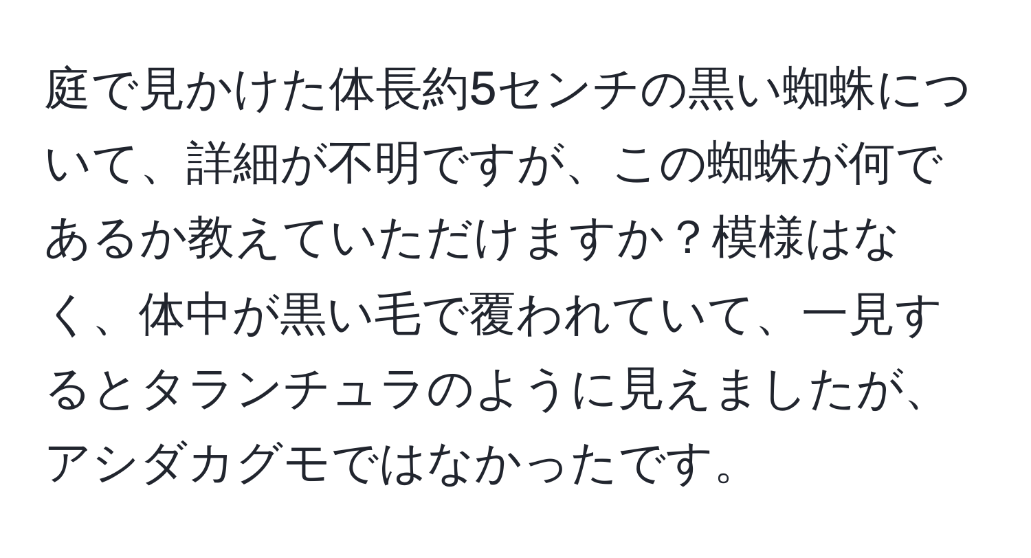 庭で見かけた体長約5センチの黒い蜘蛛について、詳細が不明ですが、この蜘蛛が何であるか教えていただけますか？模様はなく、体中が黒い毛で覆われていて、一見するとタランチュラのように見えましたが、アシダカグモではなかったです。